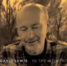 Load image into Gallery viewer, IN THE MOMENT (by David Lewis)
